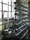 nf 2.jpg (37263 Byte)